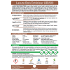 Lasure Bois Extérieur Haute Protection LBE600